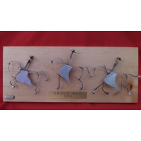 cheval_dressage_200