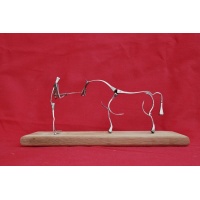 Dentiste Equin
