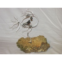 Poisson Canaille 2