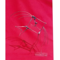 Poisson Carré 2