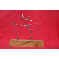Polo Martingale