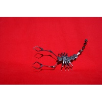 Scorpion - Forge Brame Soif
