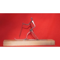 Skieur 2015