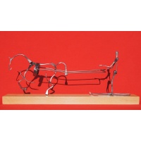 Skijoring (2015)