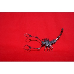 Scorpion - Forge Brame Soif