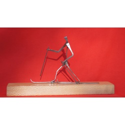 Skieur 2015